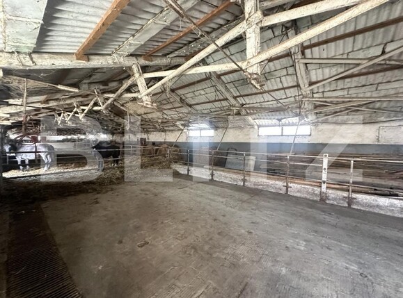 Spațiu industrial de vânzare Exterior Nord - 200677SVI | BLITZ Deva | Poza13