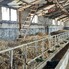 Spațiu industrial de vânzare Exterior Nord - 200677SVI - Poza 1 din 25 | BLITZ Deva | Poza11