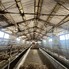 Spațiu industrial de vânzare Exterior Nord - 200677SVI - Poza 1 din 25 | BLITZ Deva | Poza9
