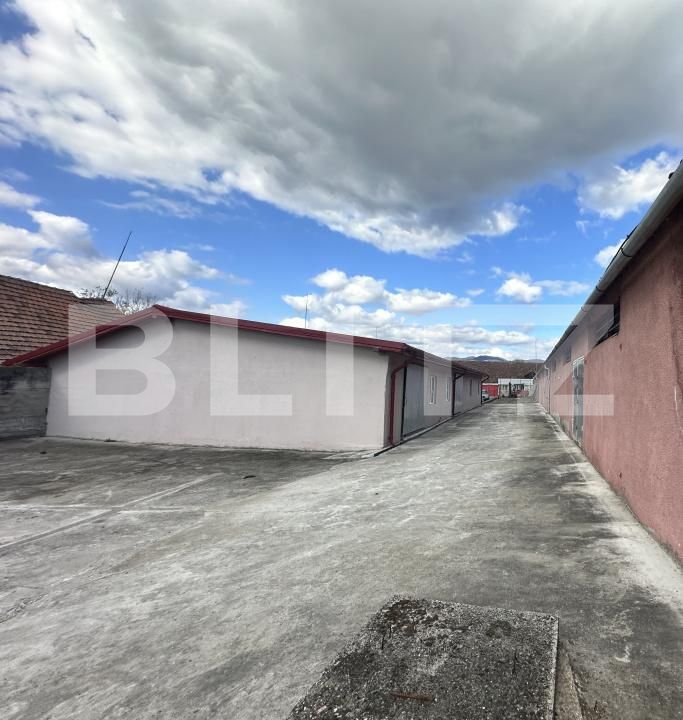 Spațiu industrial de vânzare Exterior Nord - 200677SVI | BLITZ Deva | Poza8