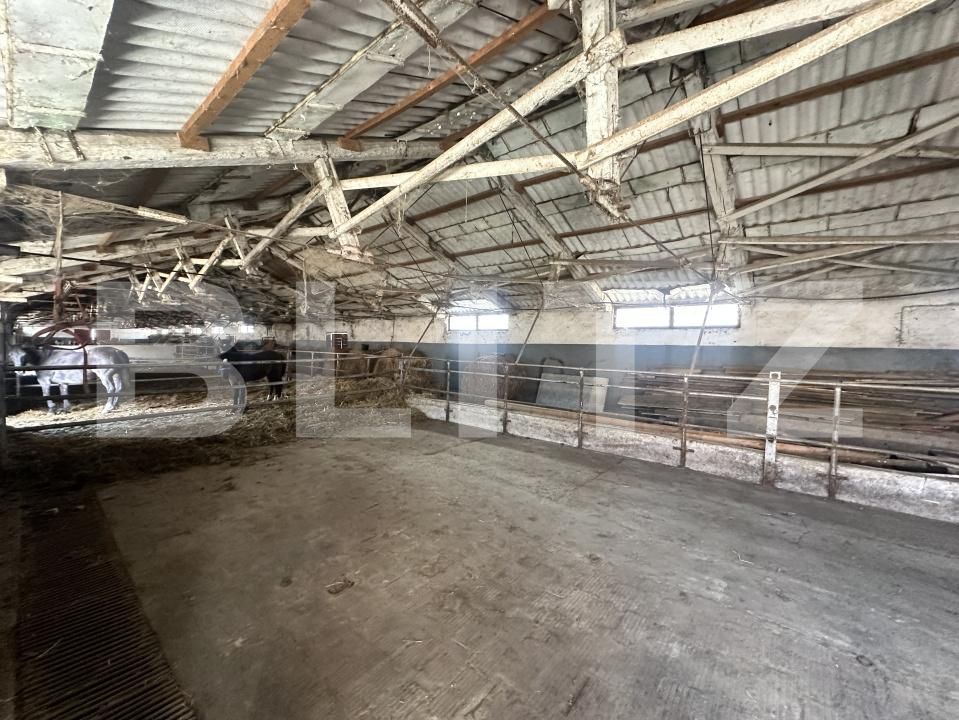 Spațiu industrial de vânzare Exterior Nord - 200677SVI | BLITZ Deva | Poza13