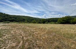 Teren intravilan de vânzare – 592 mp, zona Pădurea Bejan