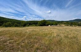Teren intravilan de vânzare – 480 mp, zona Pădurea Bejan