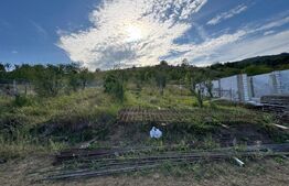 Loturi de teren, 13 parcele, cu panoramă spectaculoasă spre Cetatea Devei