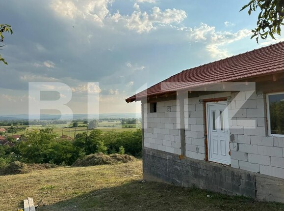 Casa de vânzare 2 camere Chimindia - 201301CV | BLITZ Deva | Poza5