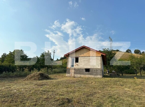 Casa de vânzare 2 camere Chimindia - 201301CV | BLITZ Deva | Poza4