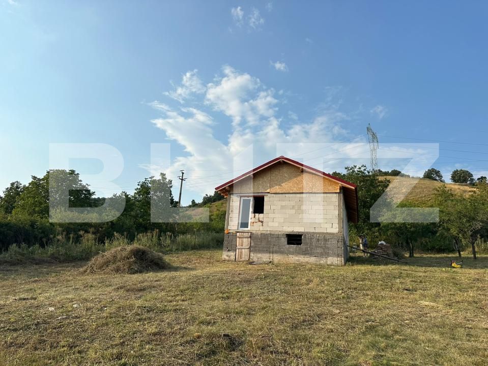 Casa de vânzare 2 camere Chimindia - 201301CV | BLITZ Deva | Poza4