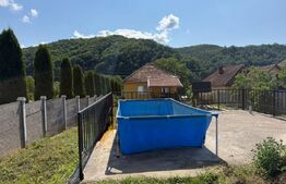 Casă de vânzare, teren generos, ideală pentru familie, Certeju de Sus