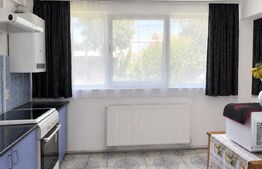 Apartament 3 camere de închiriat , Deva, zona Ultracentrala 