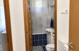 Apartament 3 camere de închiriat , Deva, zona Ultracentrala 
