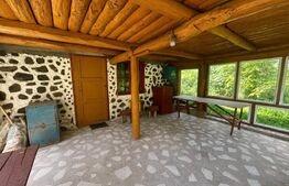 Cabană cu pescărie și natură, oază de liniște, în satul Hondol