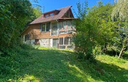 Cabană cu pescărie și natură, oază de liniște, în satul Hondol