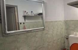 Vilă, P+1+M, de vânzare, 170 mp, Viile Noi, Deva