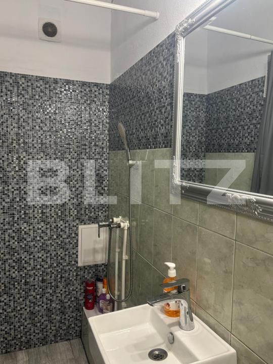 Casa de vânzare 6 camere Viile Noi - 202075CV | BLITZ Deva | Poza7