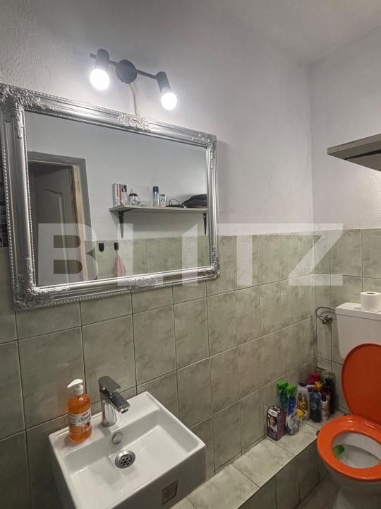 Casa de vânzare 6 camere Viile Noi - 202075CV | BLITZ Deva | Poza8