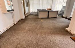 Spatiu comercial, 231 mp, central