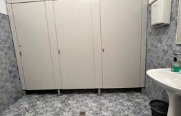 Spatiu comercial, 231 mp, central