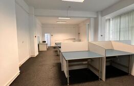 Spatiu comercial, 231 mp, central