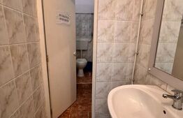 Spatiu comercial, 231 mp, central