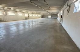 Hală de vânzare, 1078 mp, zona Soimus