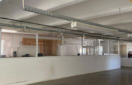 Hale de vanzare, 5438 mp, zona Soimus