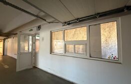 Hale de vanzare, 5438 mp, zona Soimus
