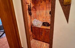 Apartamen 2 camere, 54 mp, zona Libertatii