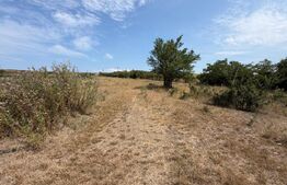 Teren extravilan de vanzare, 60402 mp, zona Archila