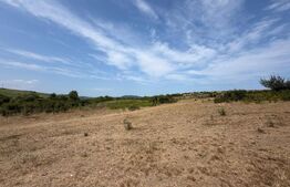 Teren extravilan de vanzare, 60402 mp, zona Archila