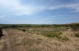 Teren extravilan de vanzare, 60402 mp, zona Archila