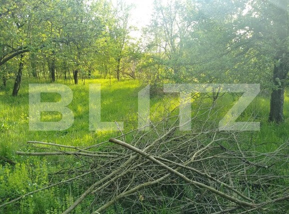 Teren de vânzare Simeria Veche - 203162TV | BLITZ Deva | Poza1