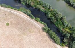 Teren extravilan de vanzare, 10.000 mp, zona Mures