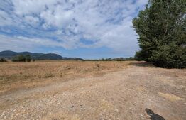 Teren extravilan de vanzare, 10.000 mp, zona Mures
