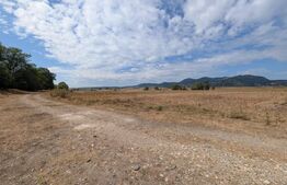 Teren extravilan de vanzare, 10.000 mp, zona Mures