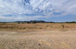 Teren extravilan, 10.000 mp, zona Mures