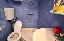 Casă de vânzare, 90 mp, teren 1500 mp, zona Toplița