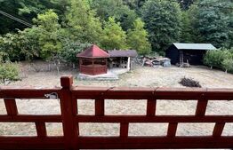 Casă de vânzare, 90 mp, teren 1500 mp, zona Toplița