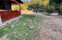 Casă de vânzare, 90 mp, teren 1500 mp, zona Toplița