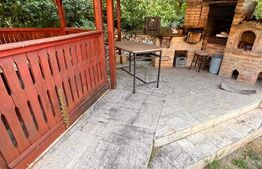 Casă de vânzare, 90 mp, teren 1500 mp, zona Toplița