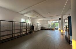 Proprietate S+P+E, 350 mp teren, spații comerciale și potențial pensiune – Călan