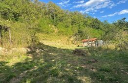 Gospodărie cu 10.900 mp teren, 3 constructii, Cainelu de Sus