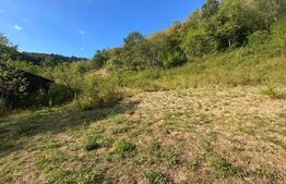 Gospodărie cu 10.900 mp teren, 3 constructii, Cainelu de Sus