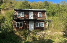 Gospodărie cu 10.900 mp teren, 3 constructii, Cainelu de Sus