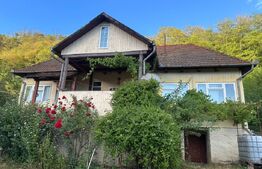 Casa de vânzare 3 camere Branisca - 205368CV | BLITZ Deva | Poza1