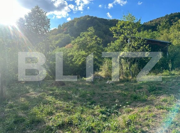 Casa de vânzare 3 camere Cainelu de Sus - 204571CV | BLITZ Deva | Poza13