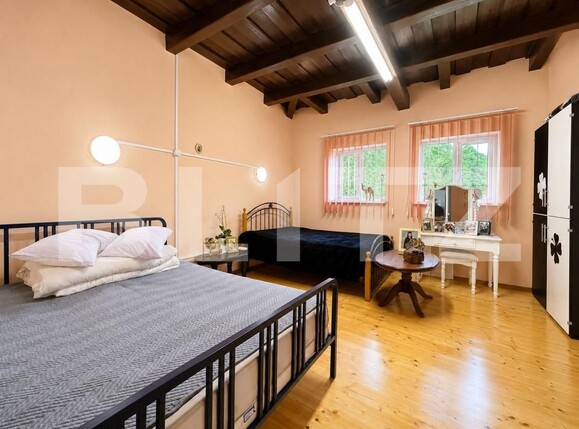 Casa de vânzare 3 camere Cainelu de Sus - 204571CV | BLITZ Deva | Poza4