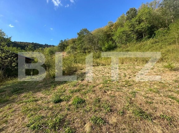 Casa de vânzare 3 camere Cainelu de Sus - 204571CV | BLITZ Deva | Poza14
