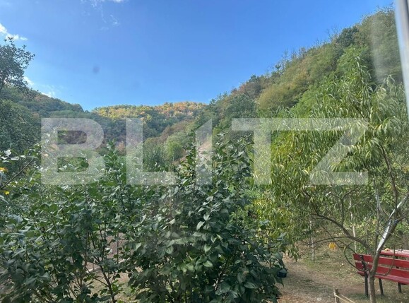 Casa de vânzare 3 camere Cainelu de Sus - 204571CV | BLITZ Deva | Poza10