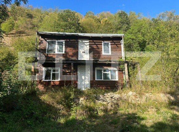 Casa de vânzare 3 camere Cainelu de Sus - 204571CV | BLITZ Deva | Poza12