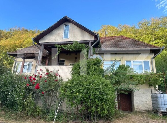 Casa de vânzare 3 camere Cainelu de Sus - 204571CV | BLITZ Deva | Poza1